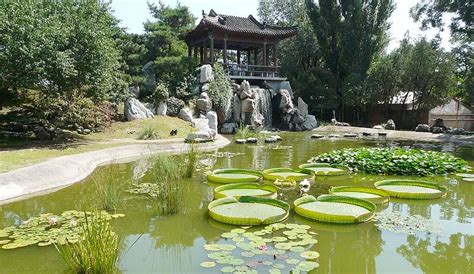 如何去北京植物園？在探讨如何抵达这座城市的自然绿洲时，我们不妨从不同的角度出发，比如交通工具的选择、行程规划以及沿途可能遇到的风景。