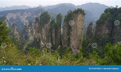 湖南綏寧黃桑怎麼去?黃桑國家森林公園是一個生態旅遊勝地，擁有豐富的自然景觀和獨特的文化遺產。如何前往這個美麗的地方，有著諸多不同的選擇。