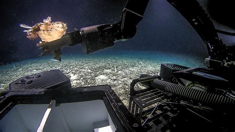 如何管理飛行員：從星際旅行到深海探險的跨界思考